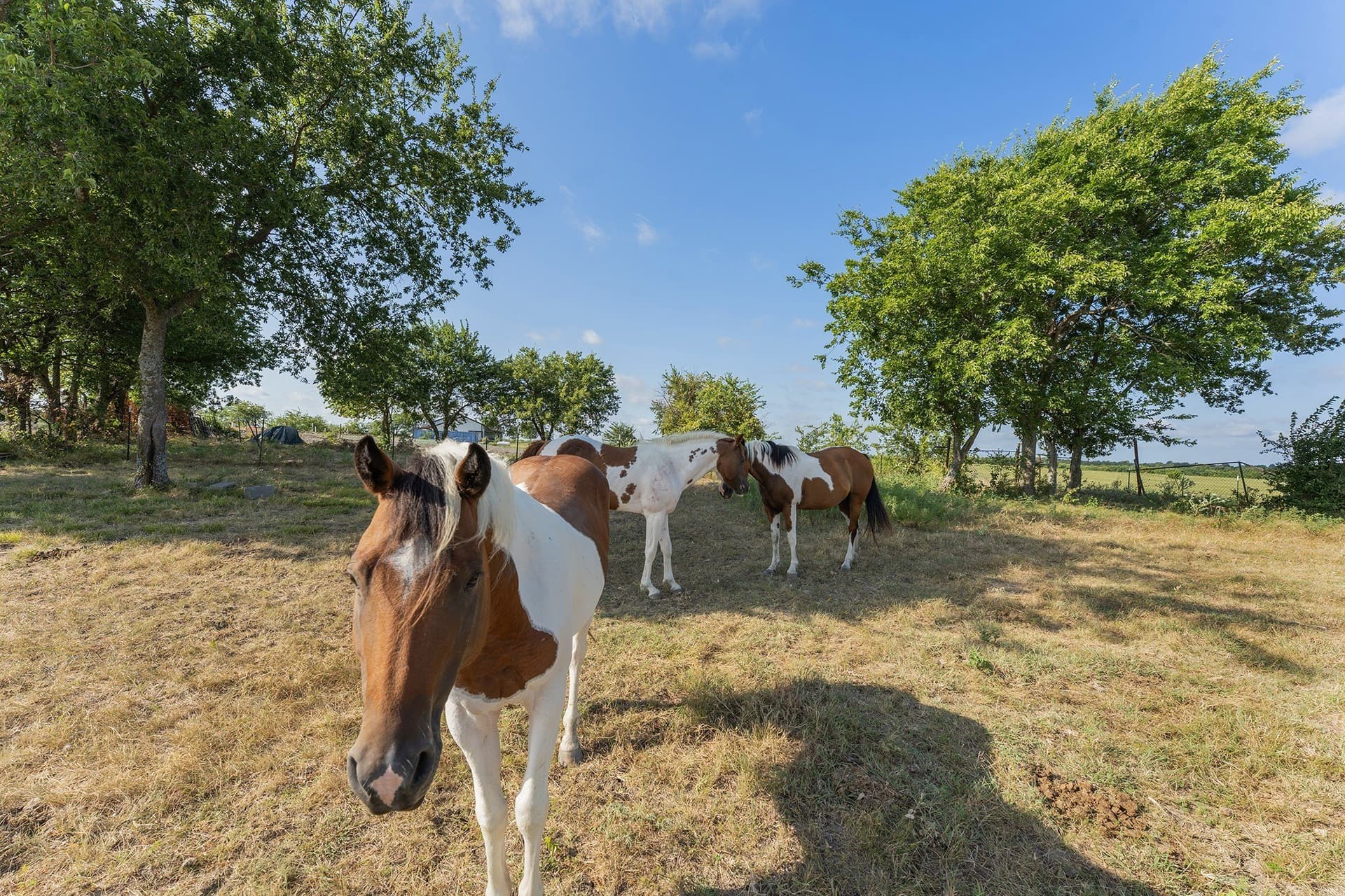 11.92 acres in Hunt County - photo 21
