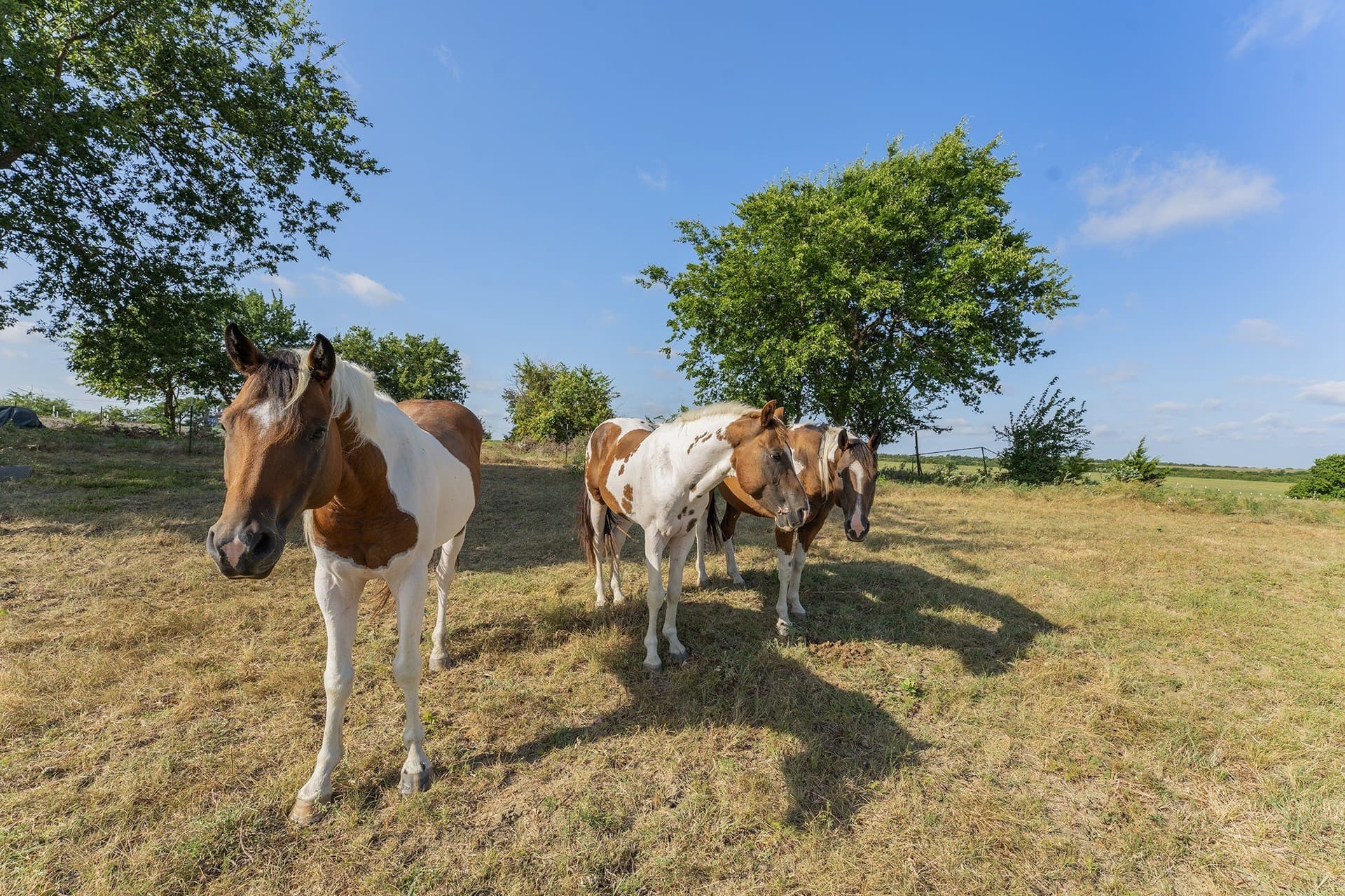 11.92 acres in Hunt County - photo 22