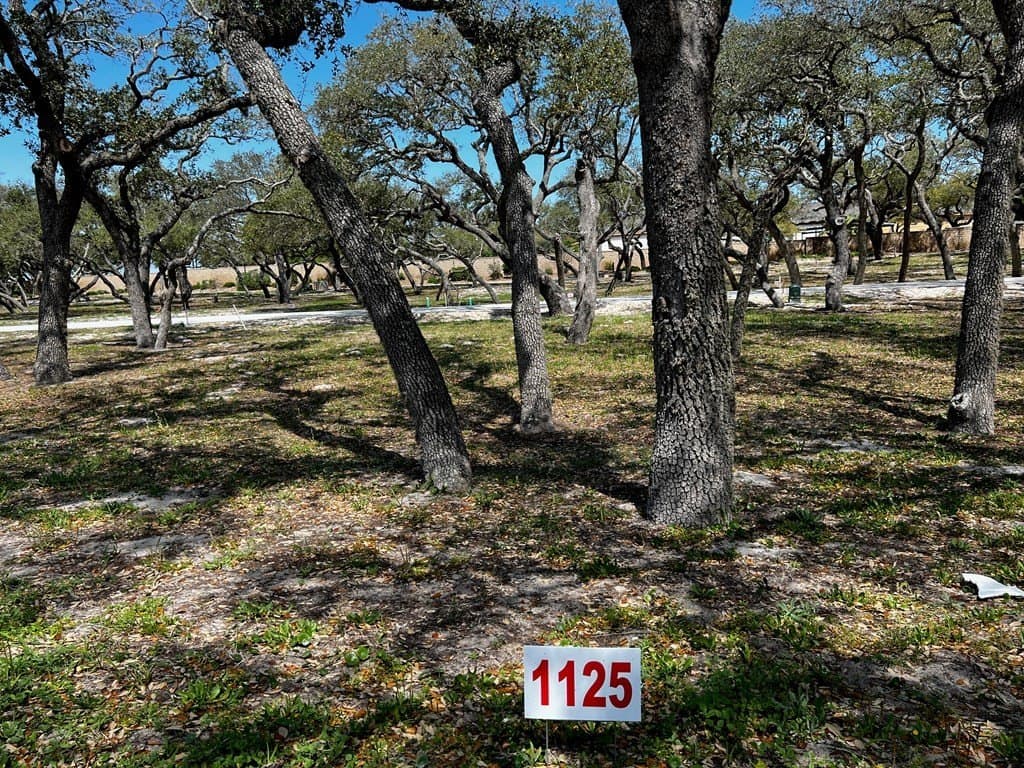 0.13 acres in Texas County gallery image 2
