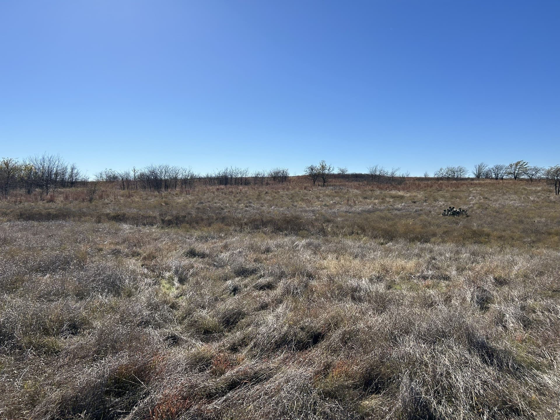 1.84 acres in Hood County - photo 11