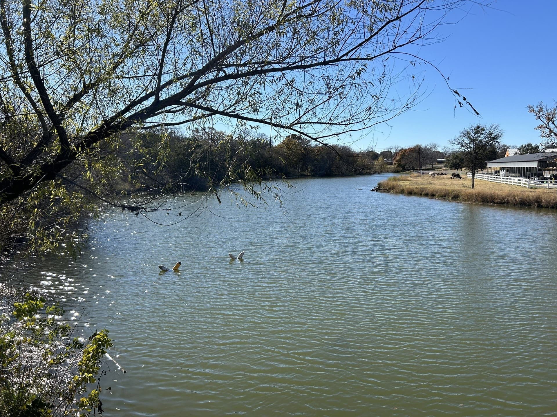 1.84 acres in Hood County - photo 27