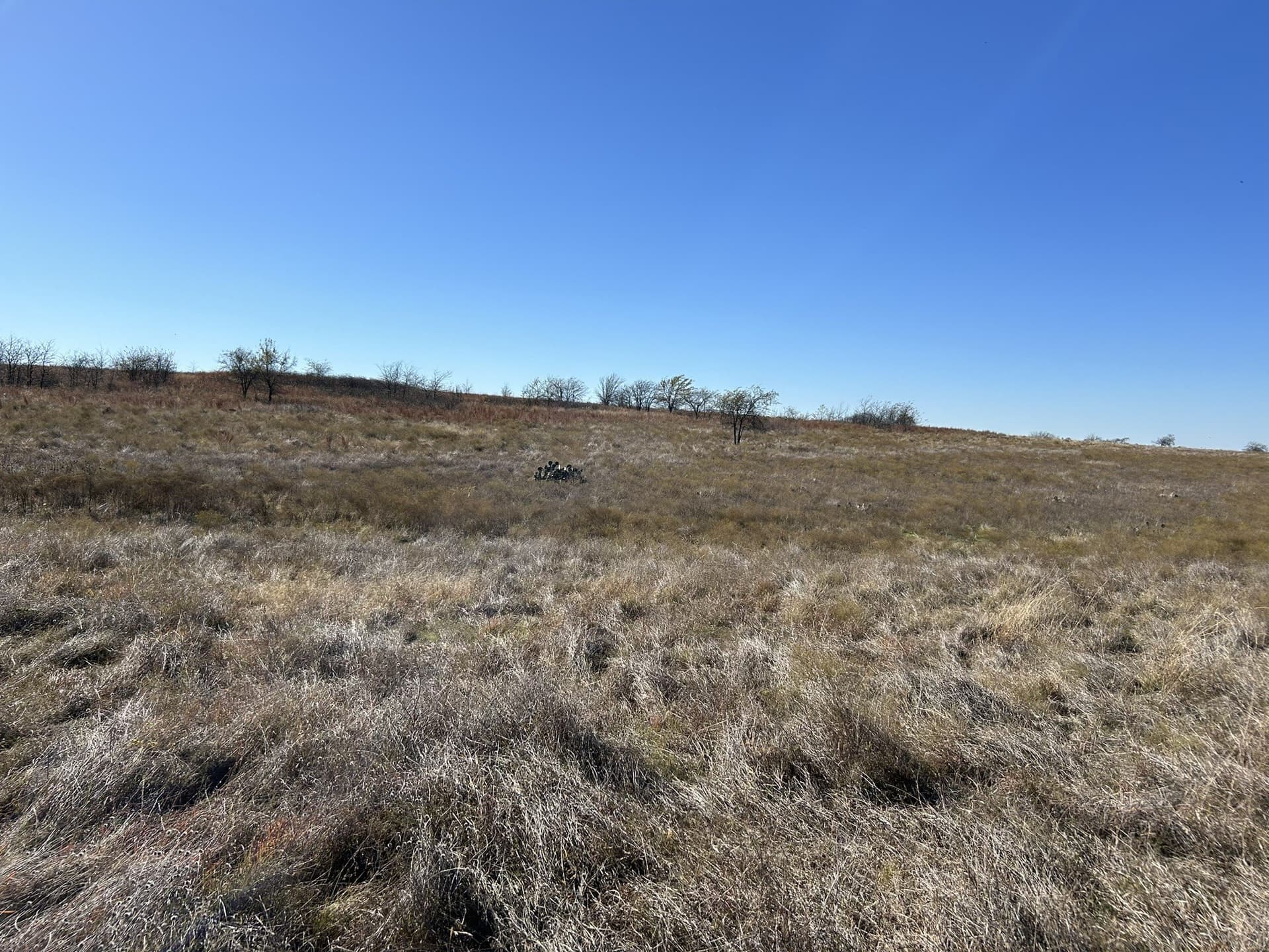1.84 acres in Hood County - photo 10
