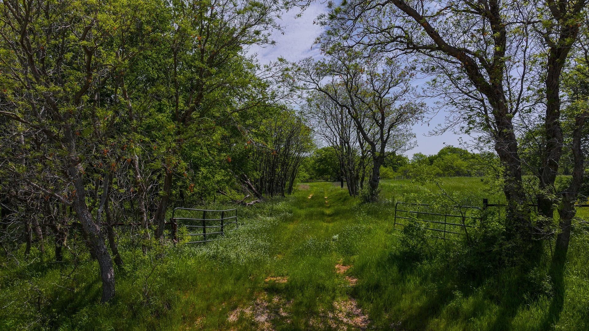 22 acres in Montague County - photo 13