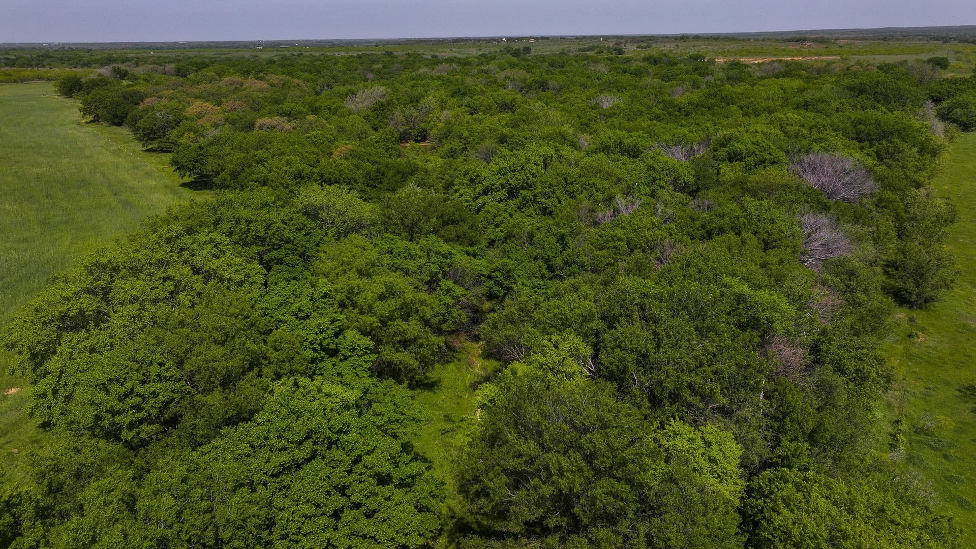 22 acres in Montague County - photo 19