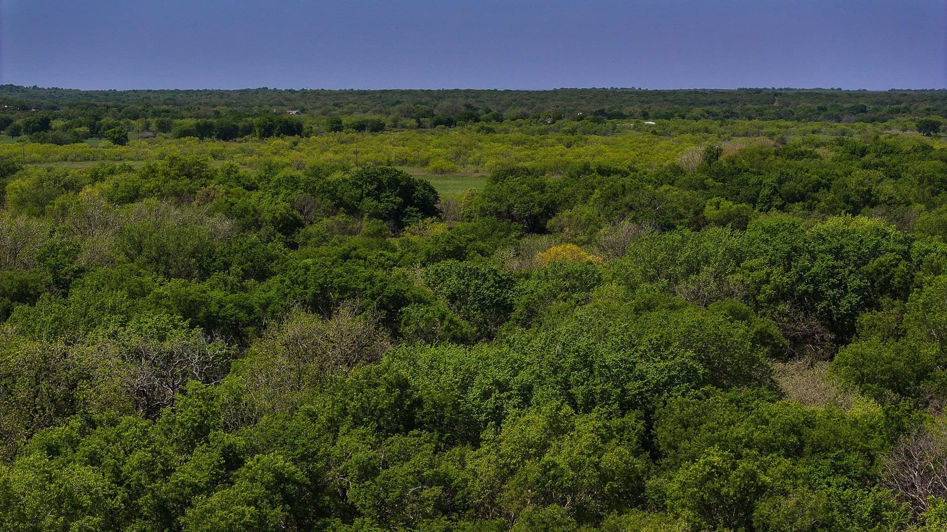 22 acres in Montague County - photo 5