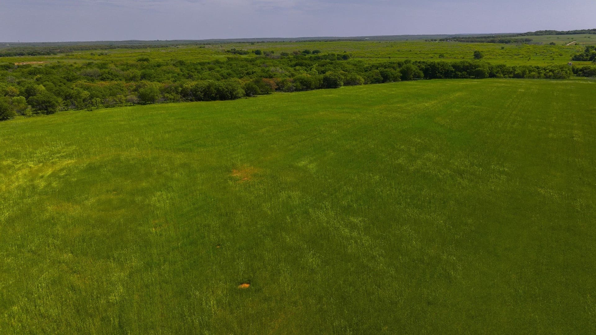 22 acres in Montague County - photo 17