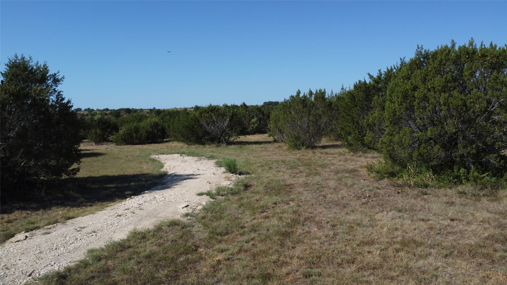 40 acres in Hamilton County - photo 4