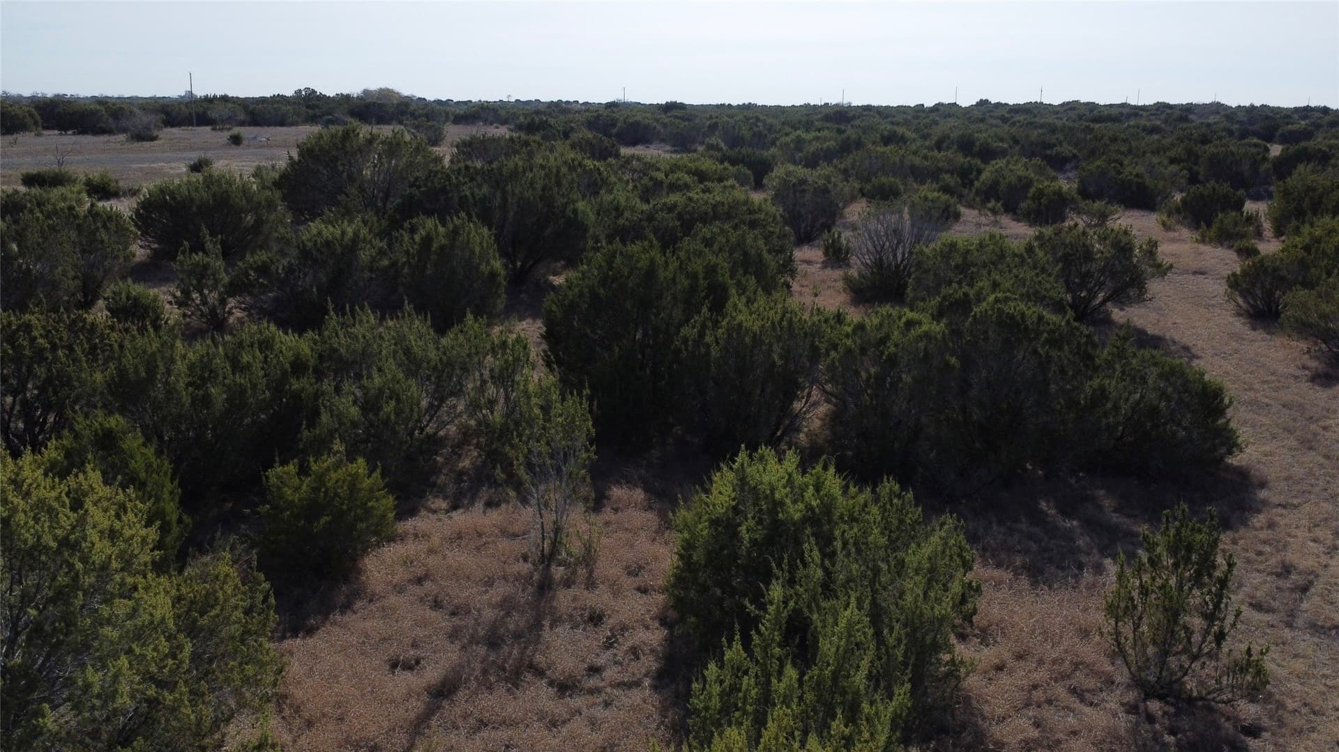 40 acres in Hamilton County - photo 32