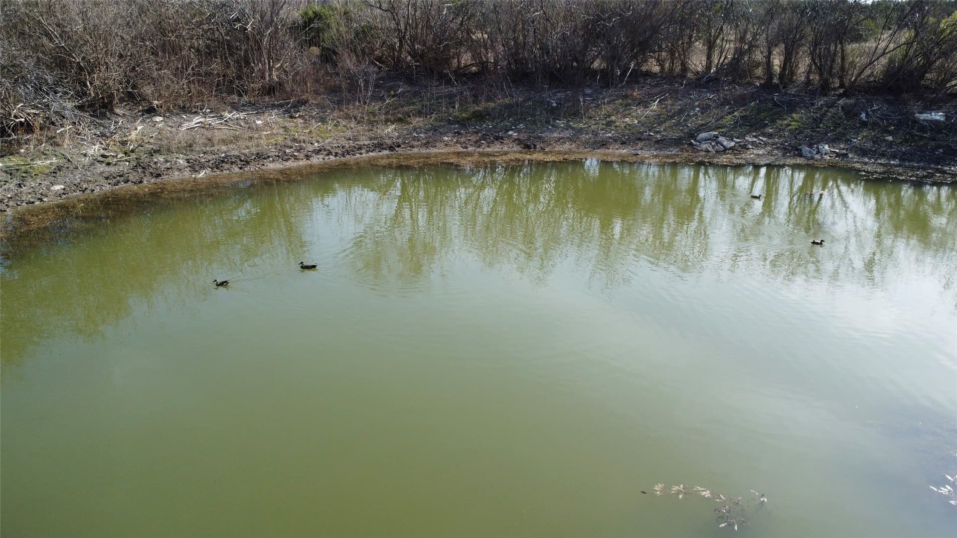 40 acres in Hamilton County - photo 28