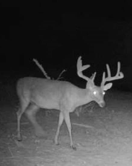 40 acres in Hamilton County - photo 5