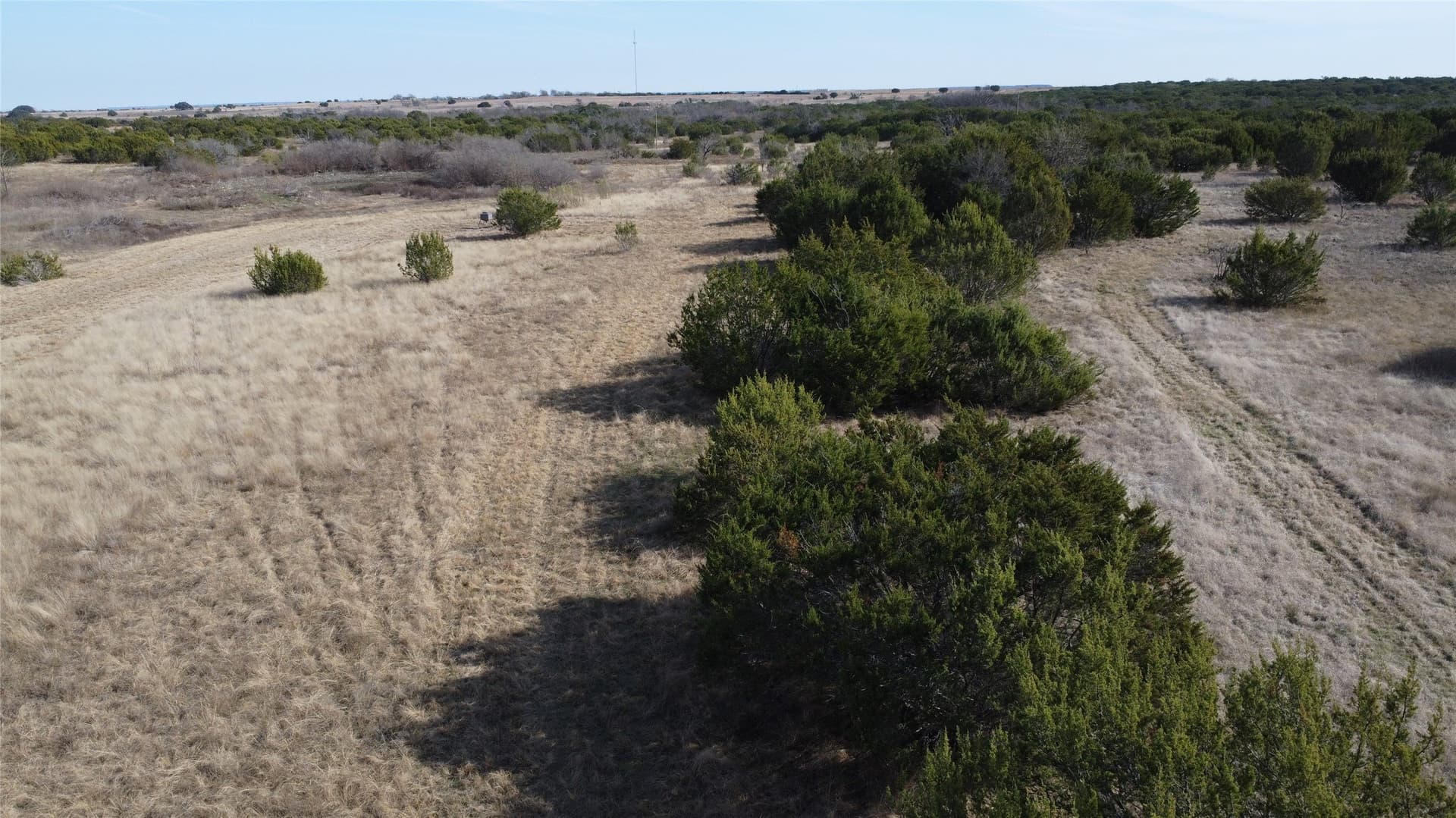 40 acres in Hamilton County - photo 18