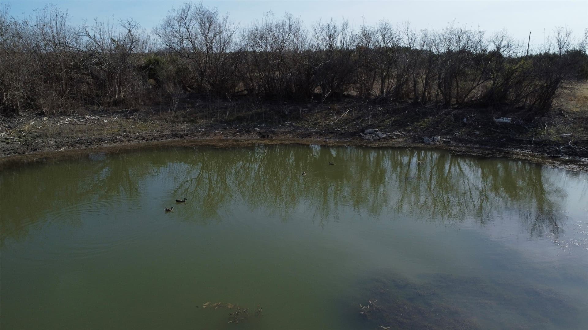 40 acres in Hamilton County - photo 27