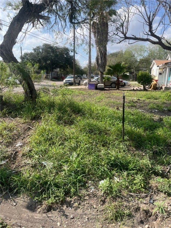 0.16 acres in Nueces County gallery image 4