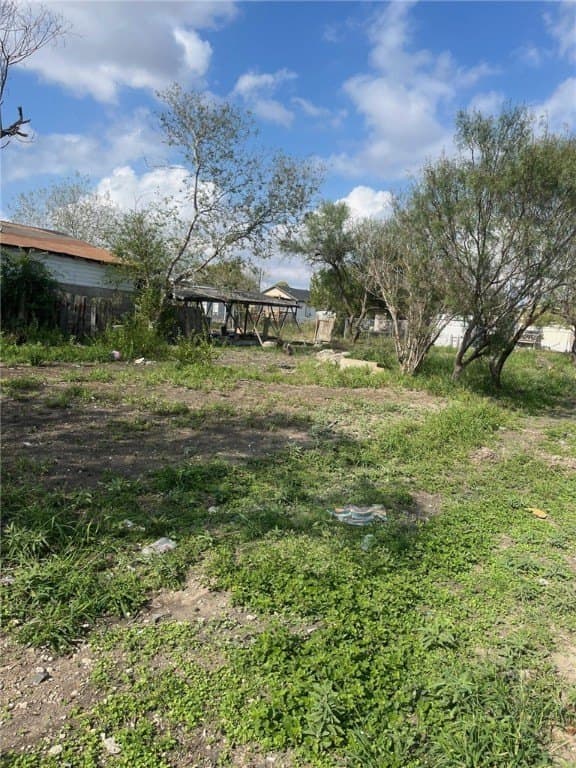 0.16 acres in Nueces County gallery image 3
