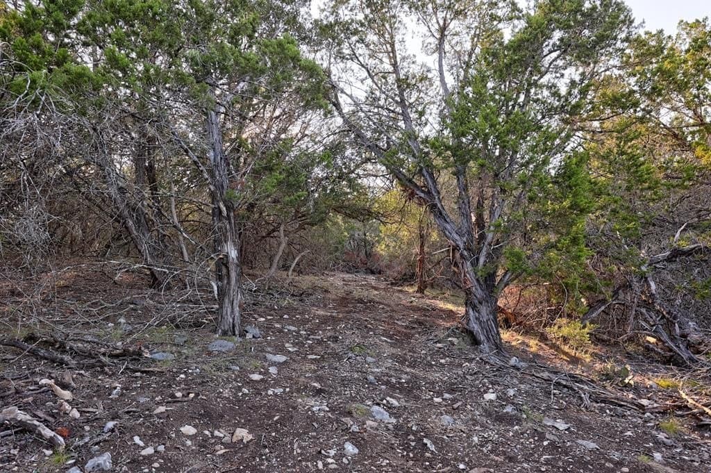 10.01 acres in Kerr County - photo 25