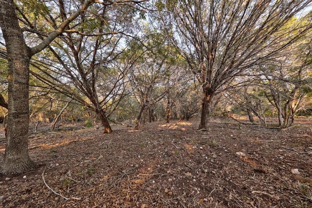 10.01 acres in Kerr County - photo 29