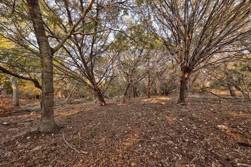 10.01 acres in Kerr County - photo 28