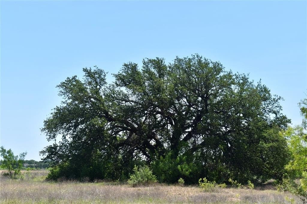 539.39 acres in McCulloch County featured view