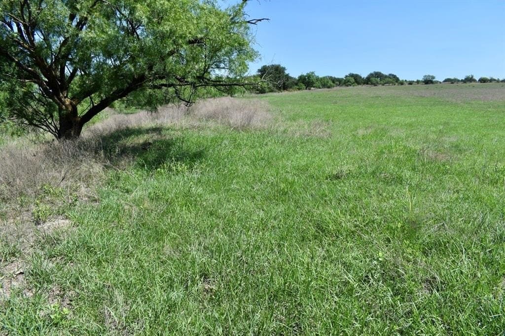 539.39 acres in McCulloch County gallery image 4