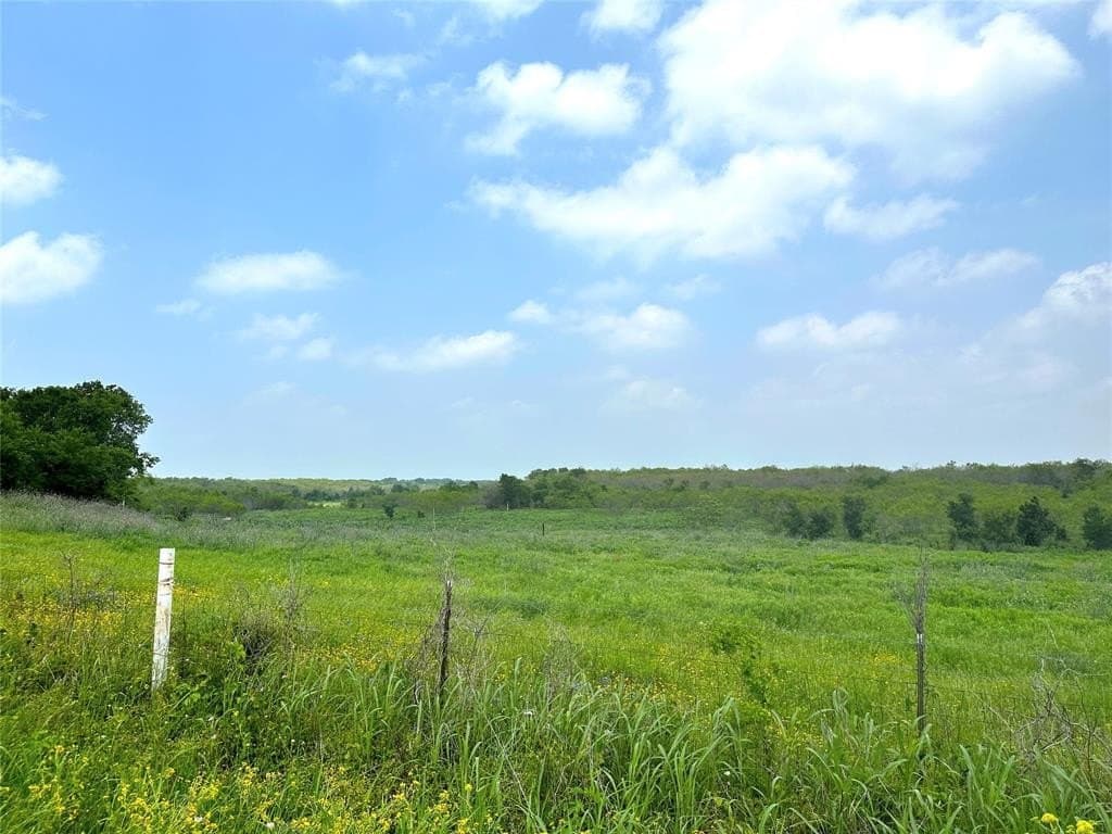 11.1 acres in McLennan County gallery image 3