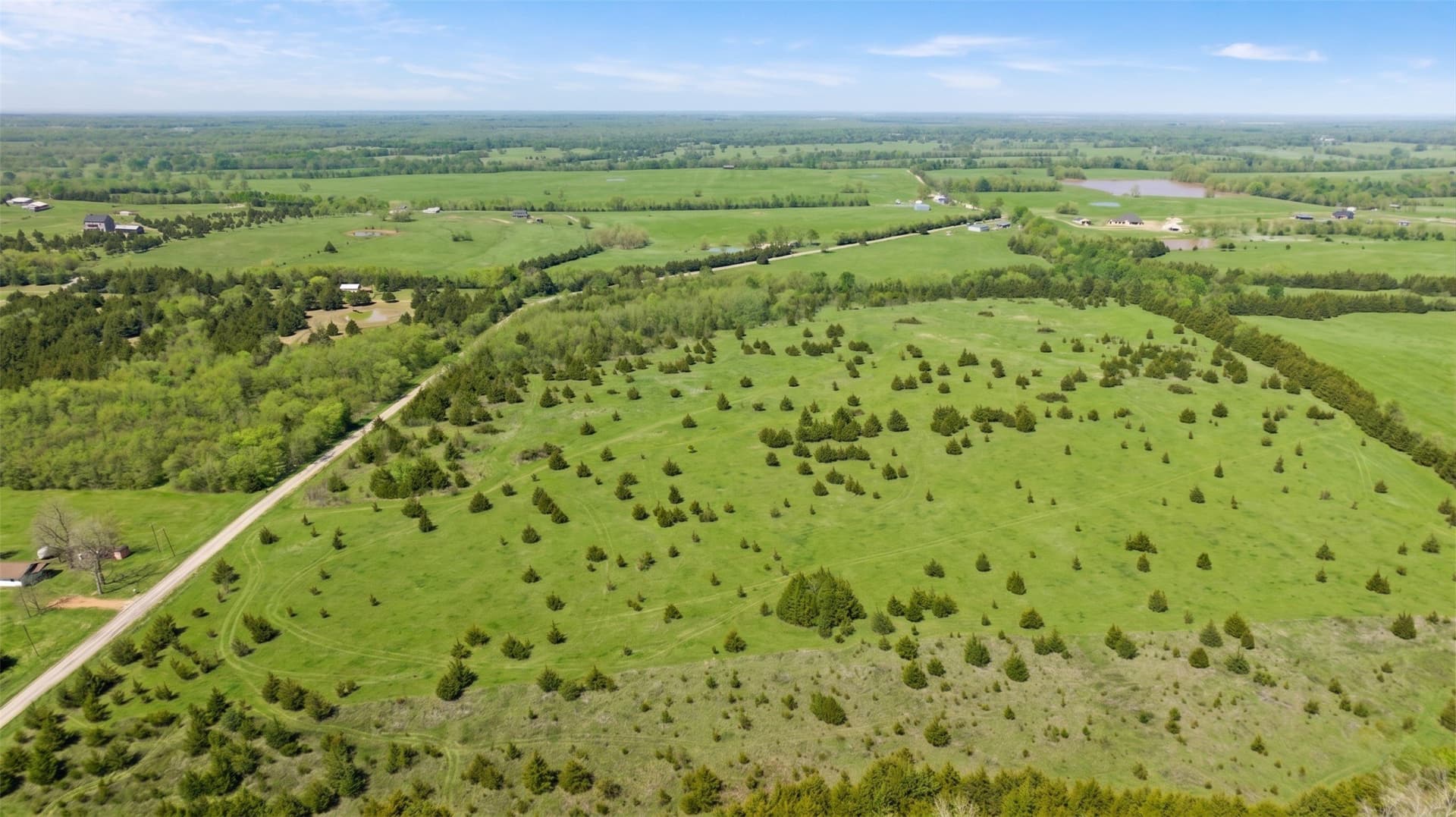 6.75 acres in Lamar County - photo 3