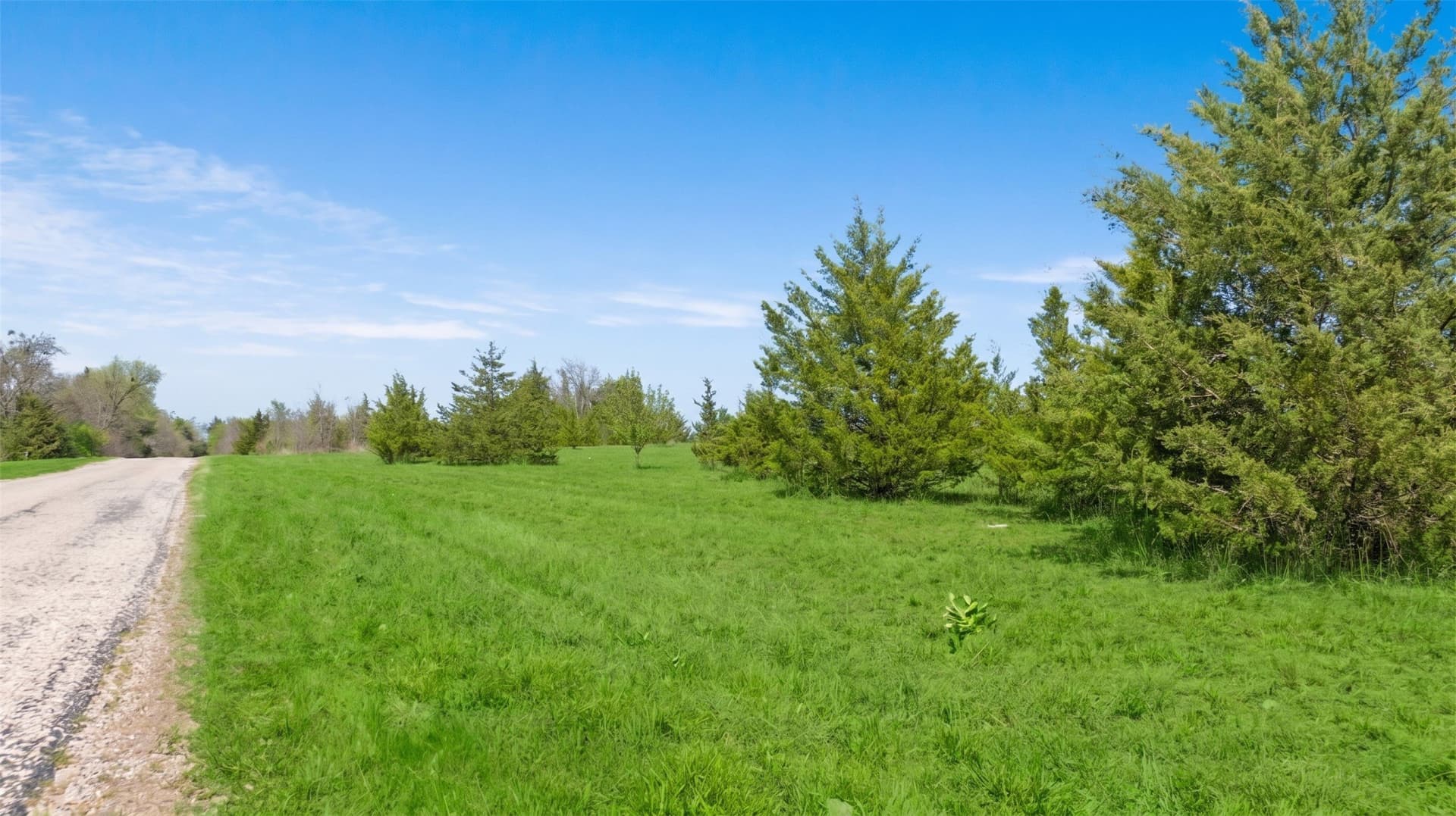 6.75 acres in Lamar County - photo 11