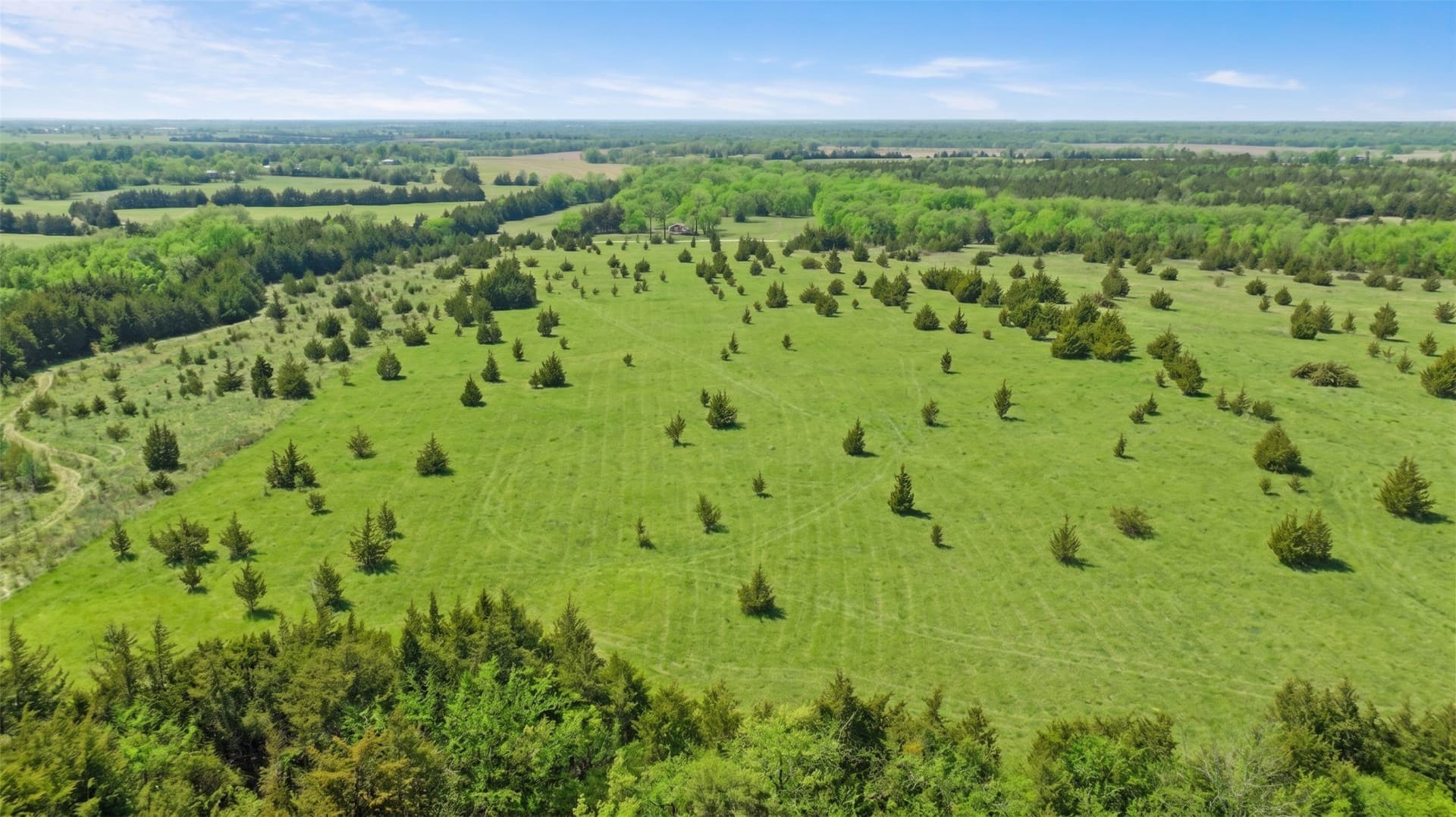 6.75 acres in Lamar County - photo 5