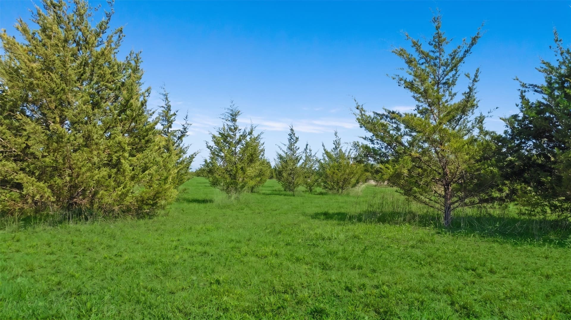 6.75 acres in Lamar County - photo 10