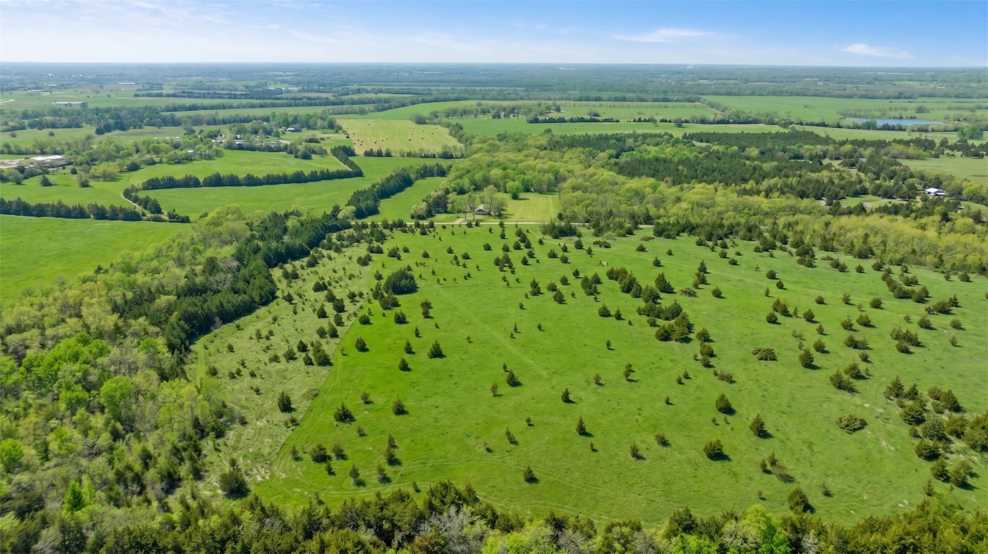 6.75 acres in Lamar County - photo 4
