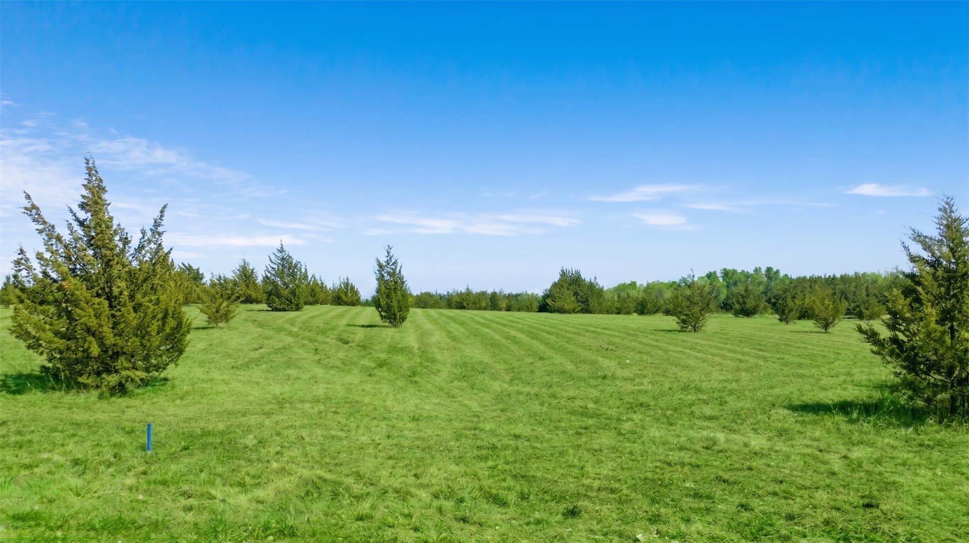 6.75 acres in Lamar County - photo 9
