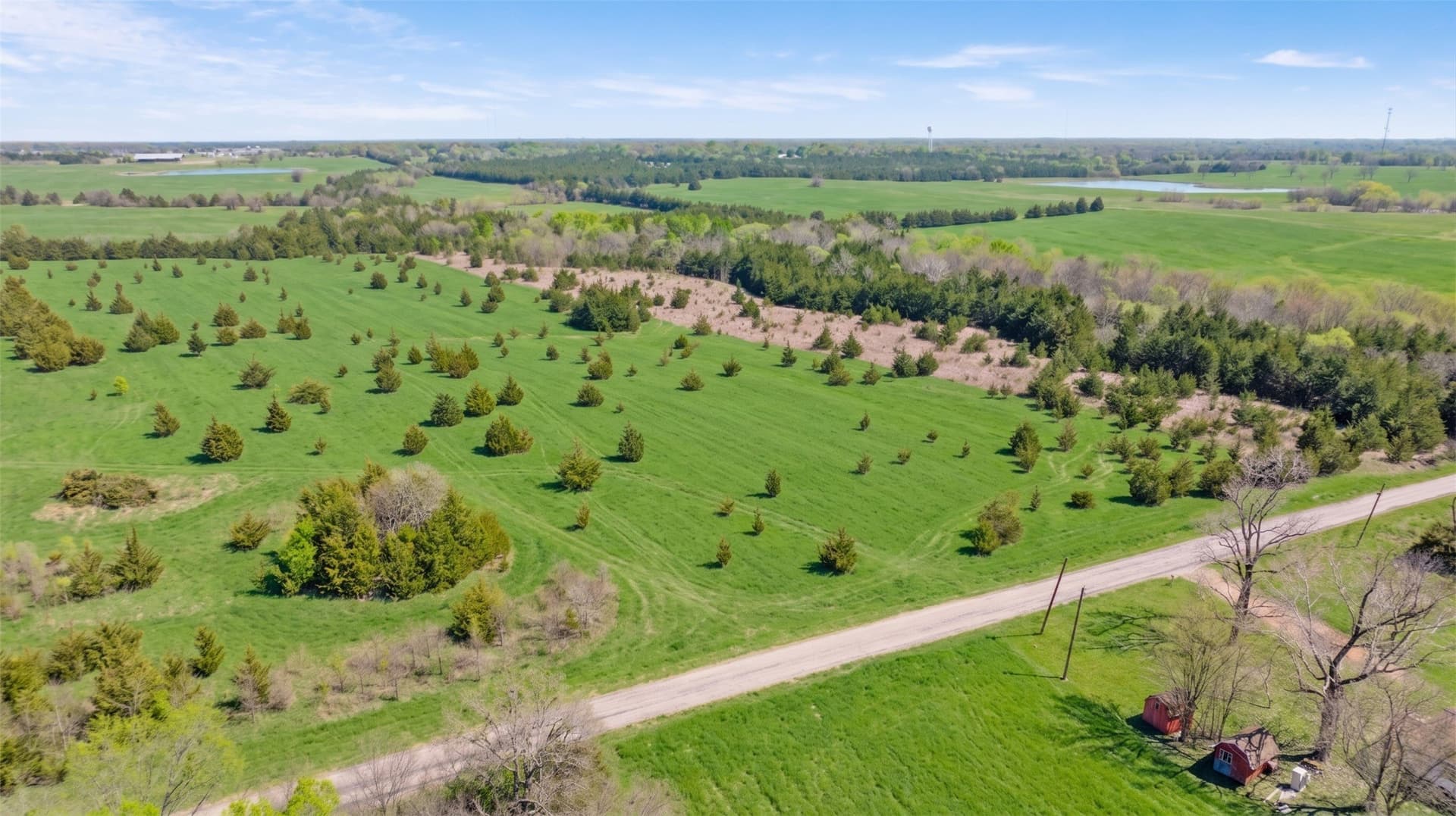 6.75 acres in Lamar County - photo 7