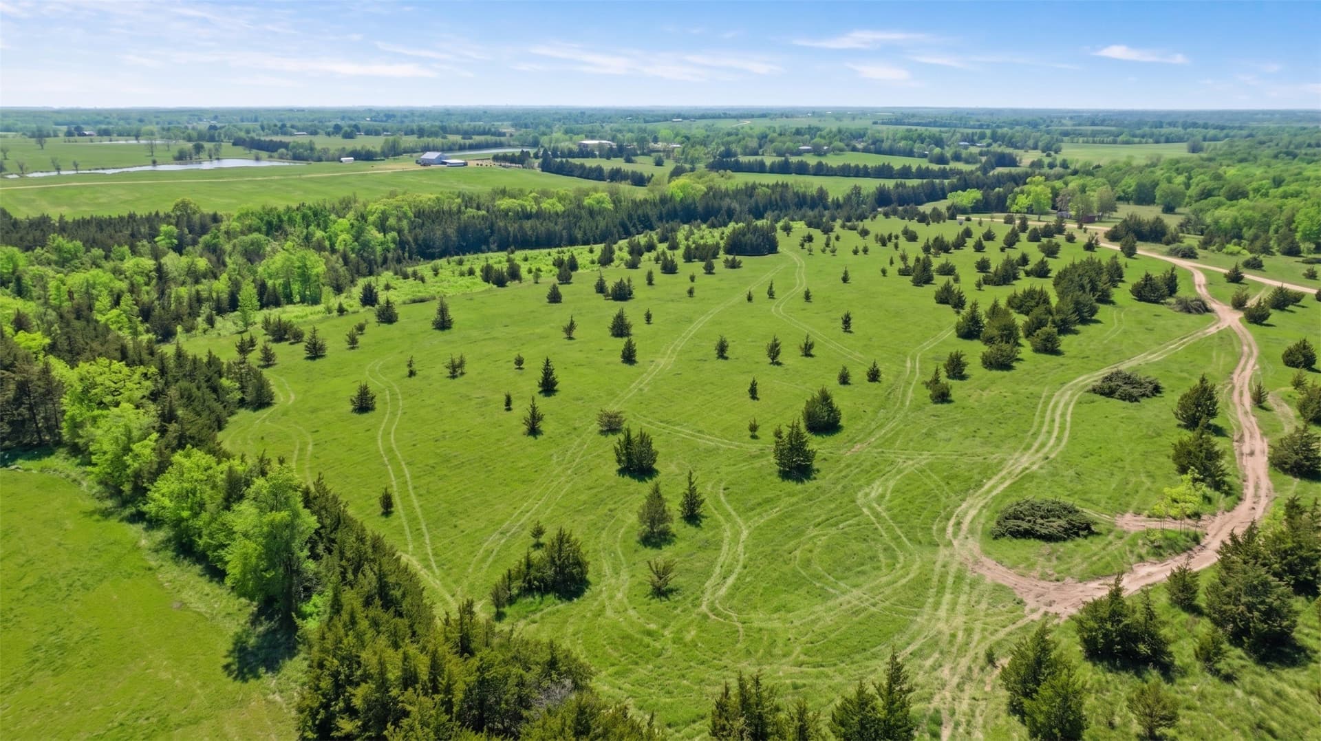 6.75 acres in Lamar County - photo 6