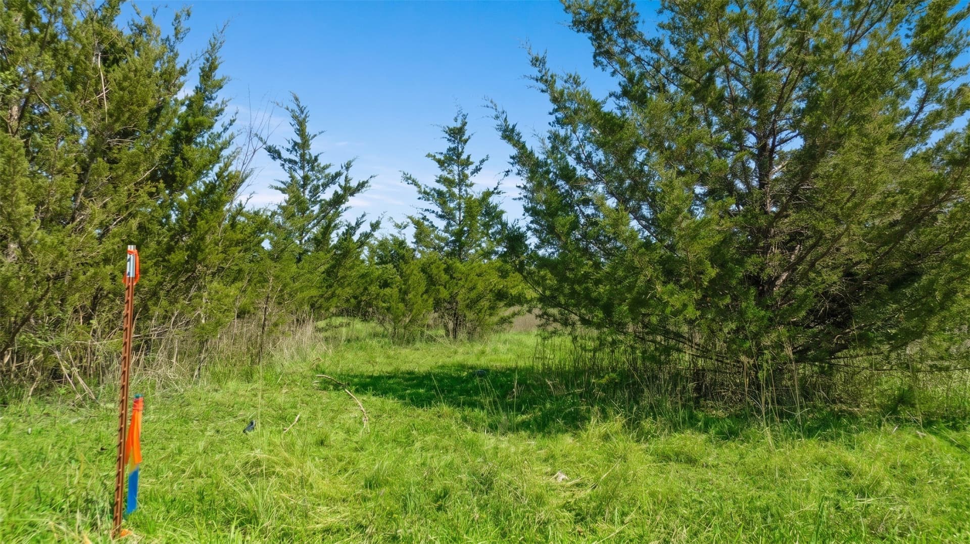 6.75 acres in Lamar County - photo 12