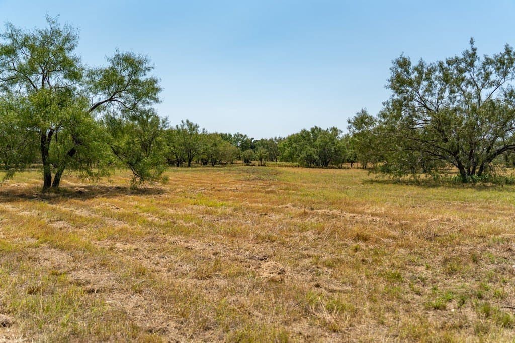 9.37 acres in Gillespie County - photo 10