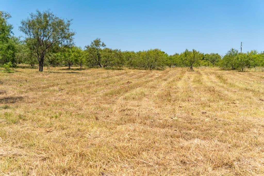 9.37 acres in Gillespie County - photo 17
