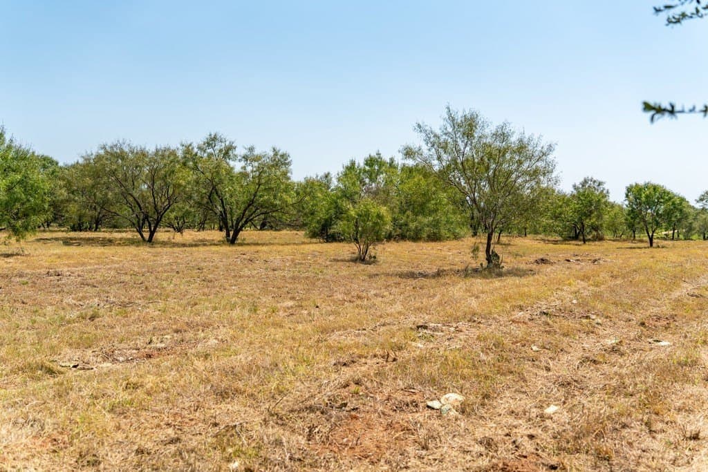 9.37 acres in Gillespie County - photo 11