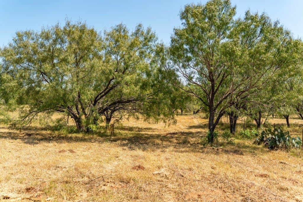9.37 acres in Gillespie County - photo 13