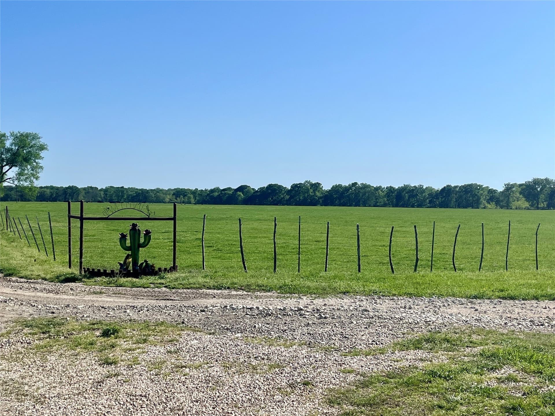 330 acres in Delta County gallery image 4