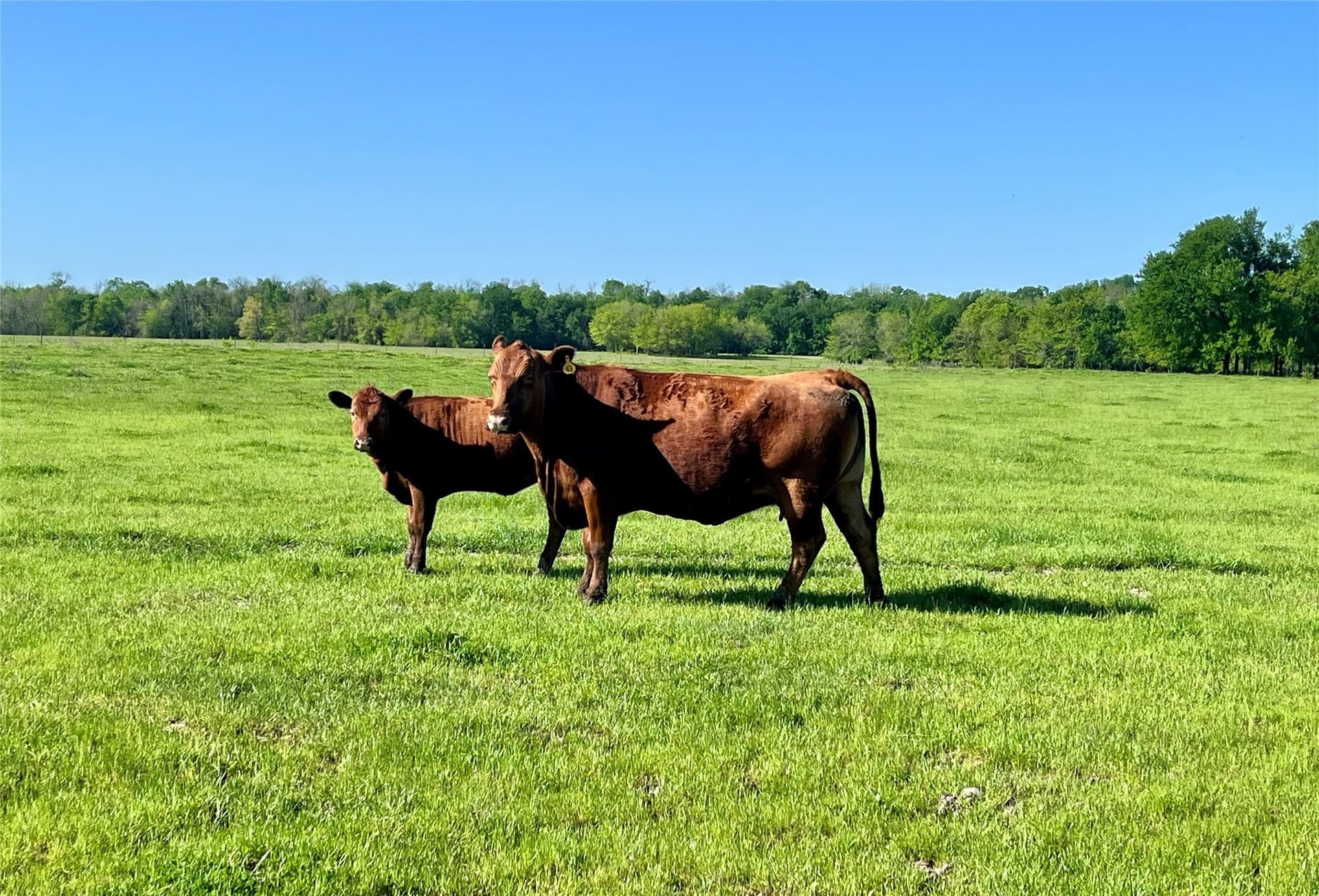 330 acres in Delta County - photo 6