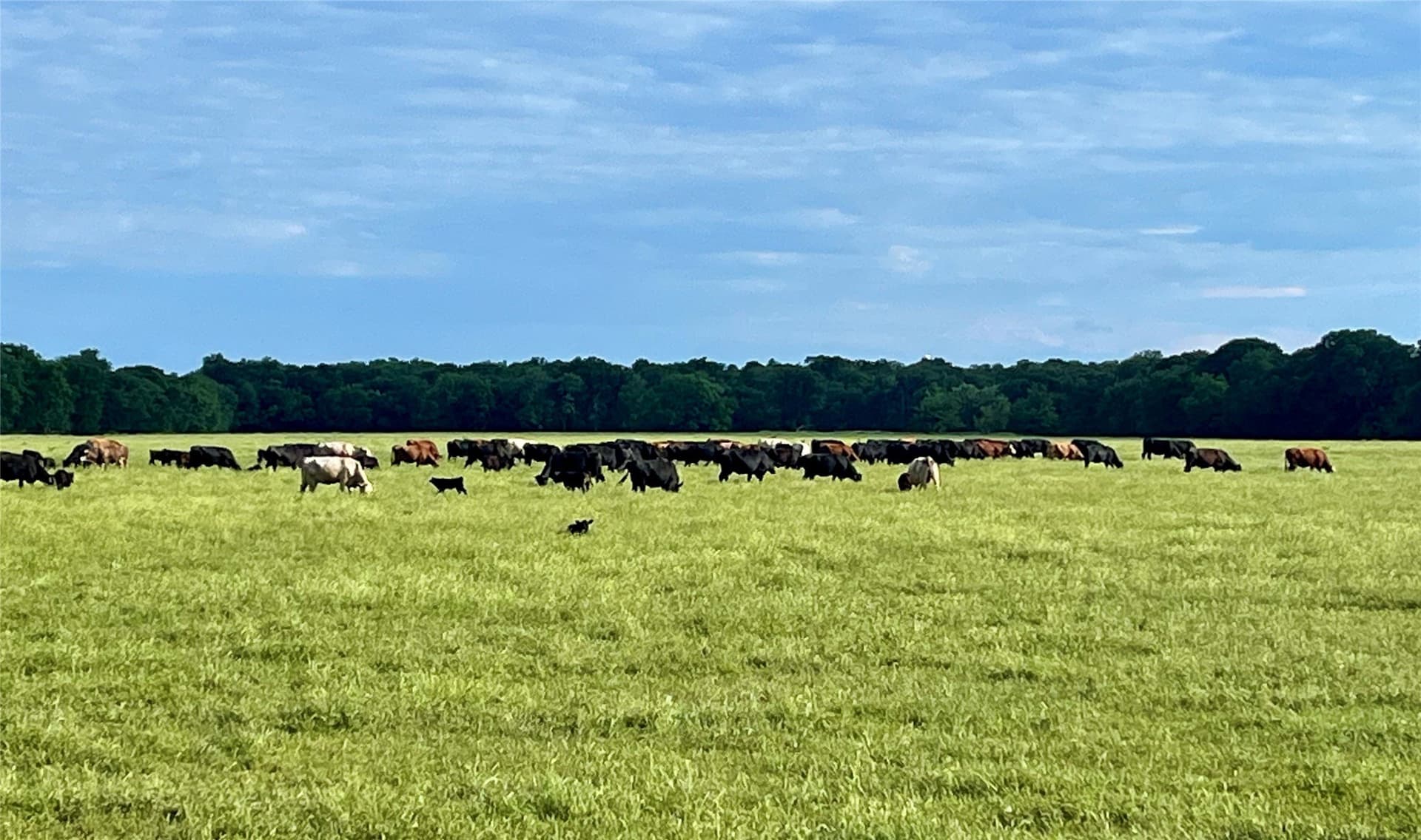 330 acres in Delta County featured view
