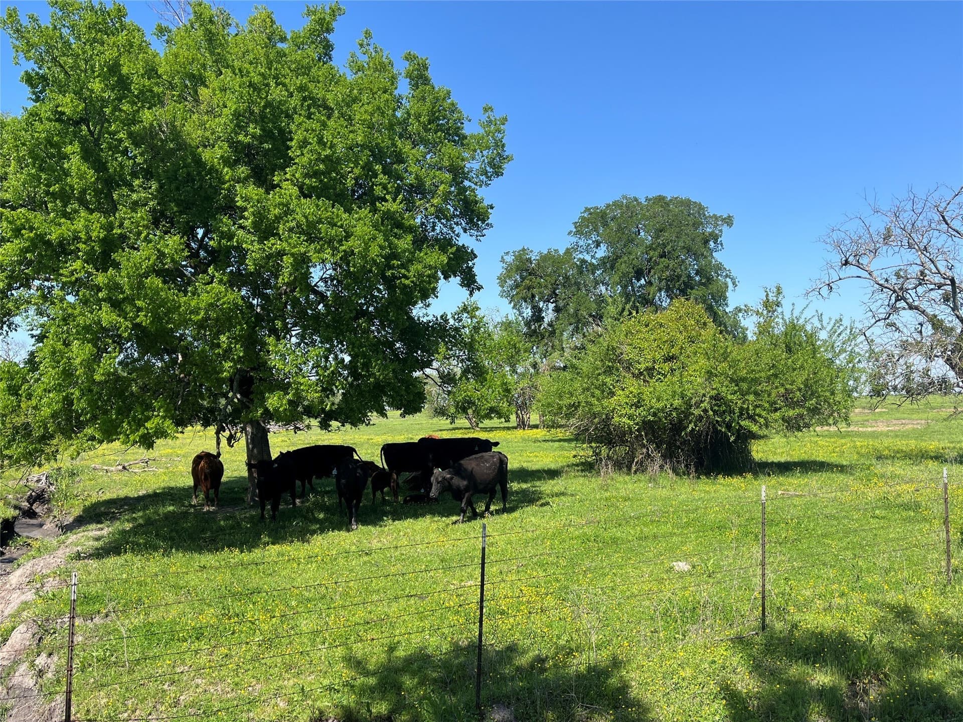 330 acres in Delta County - photo 9
