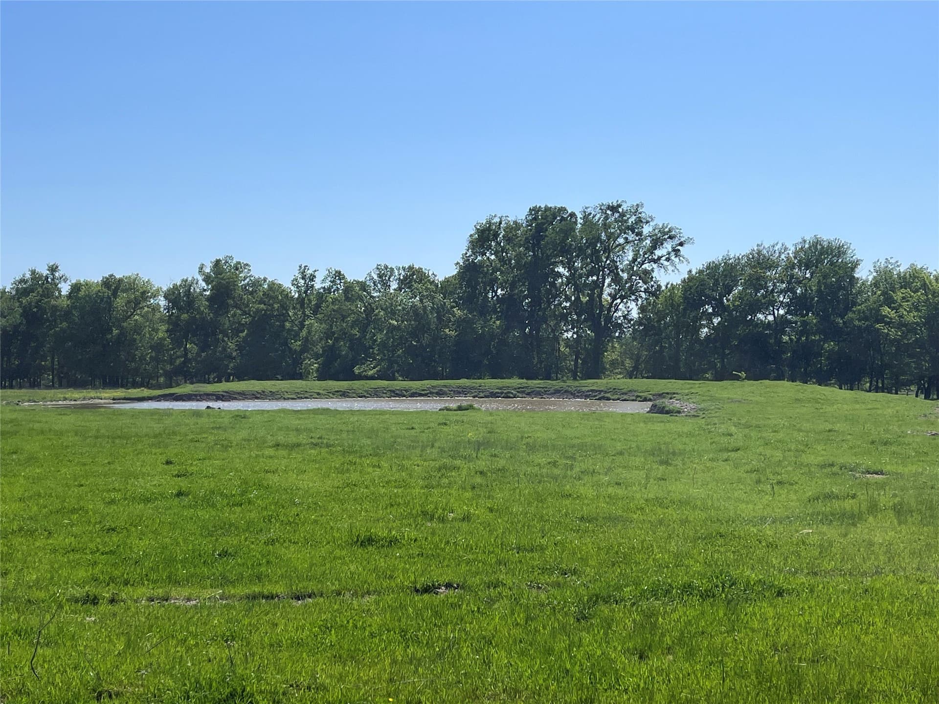 330 acres in Delta County - photo 10