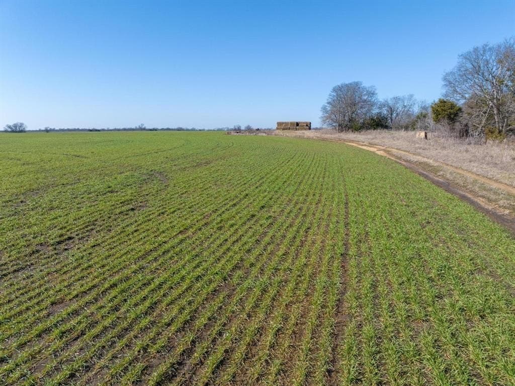 48.46 acres in Fannin County gallery image 4