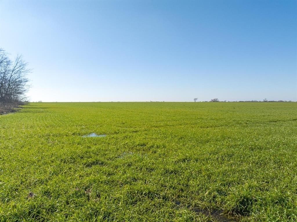 48.46 acres in Fannin County gallery image 3