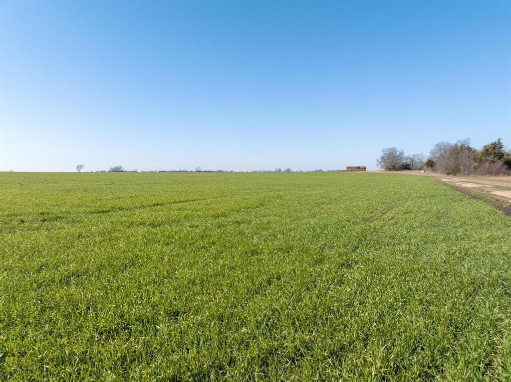48.46 acres in Fannin County featured view