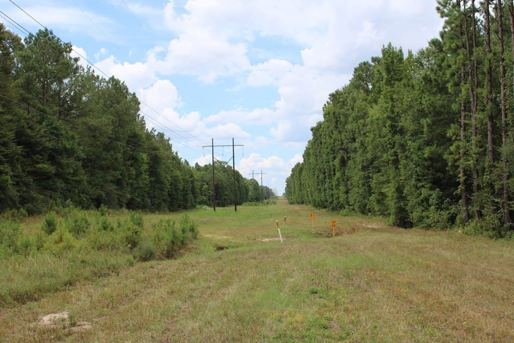 429.13 acres in Texas County - photo 13