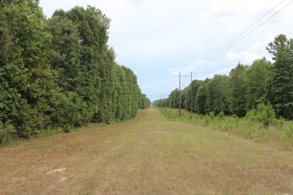 429.13 acres in Texas County - photo 8