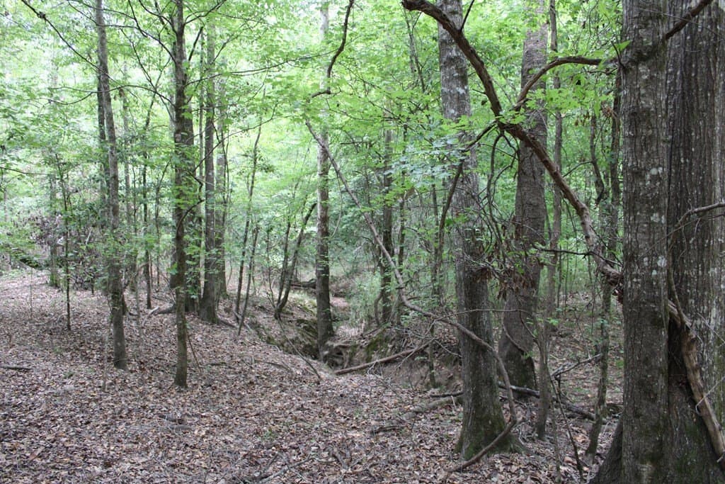 429.13 acres in Texas County - photo 11