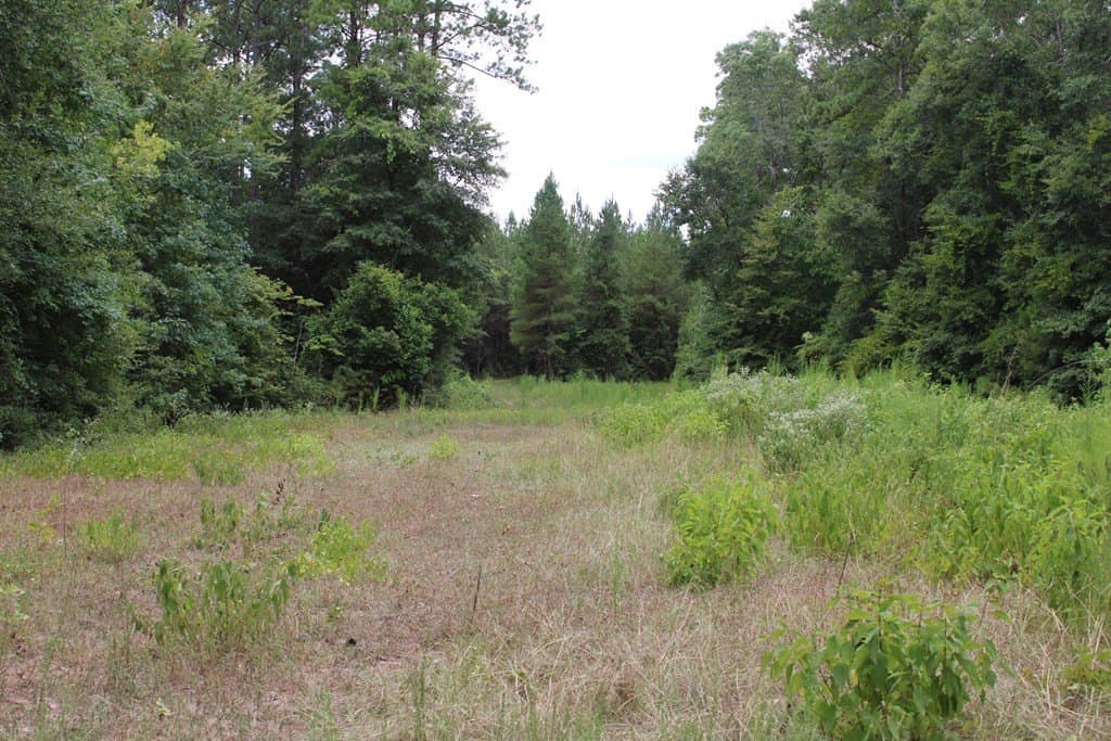 429.13 acres in Texas County - photo 6