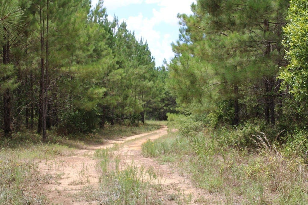 429.13 acres in Texas County - photo 12
